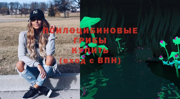 стаф Корсаков