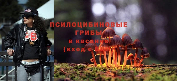 ECSTASY Коряжма