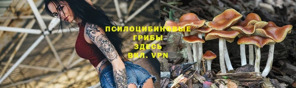 прущая мука Куйбышев